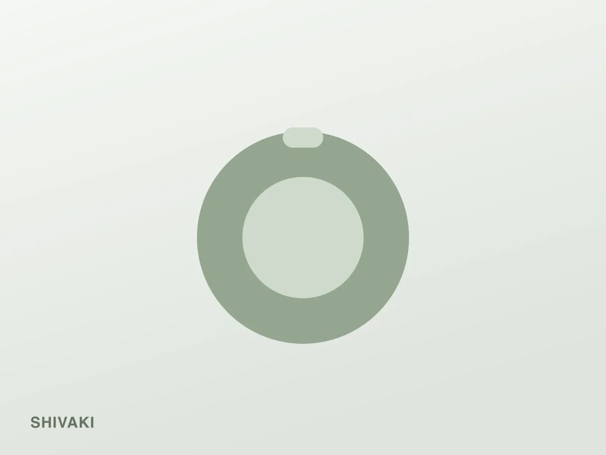 Shivaki SHIV-B3200 — фотография