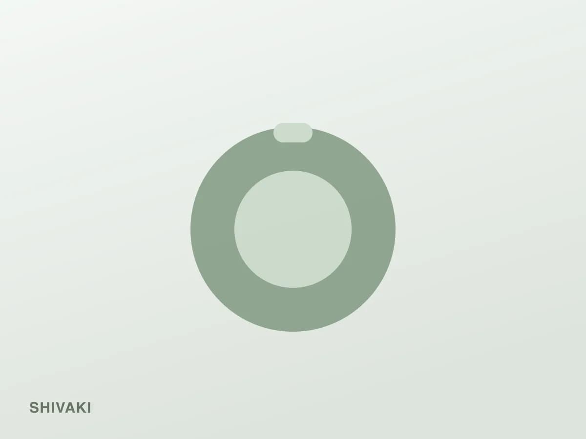 Shivaki C20 — фотография