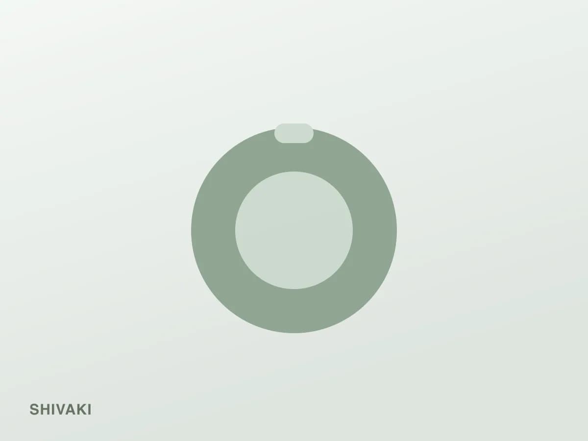 Shivaki SHIV-C3100 — фотография